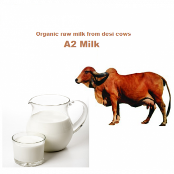desi milk